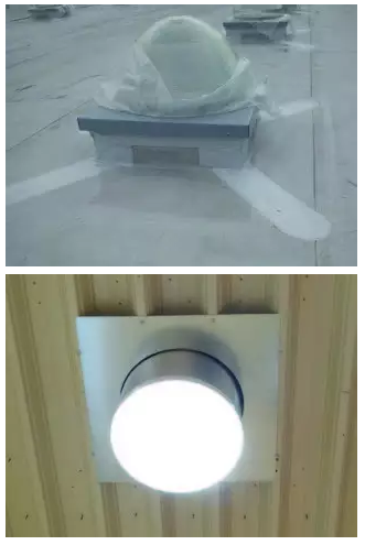 寵物食品商店需要什么樣的光源？