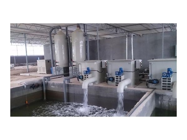 循環(huán)水除垢器，選沃肯電子除垢儀
