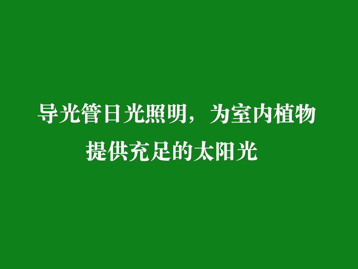 導(dǎo)光管日光照明，為室內(nèi)植物提供充足的太陽(yáng)光